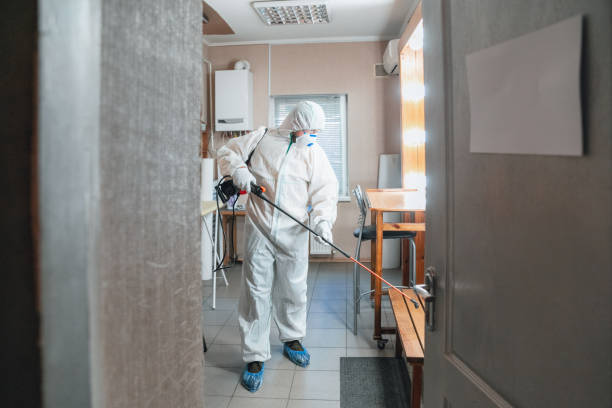 Environmental Consulting for Mold Prevention in El Cerrito, CA